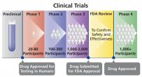 The phases of a clinical trial