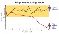 Long-term non-progressors naturally maintain normal CD4 counts.