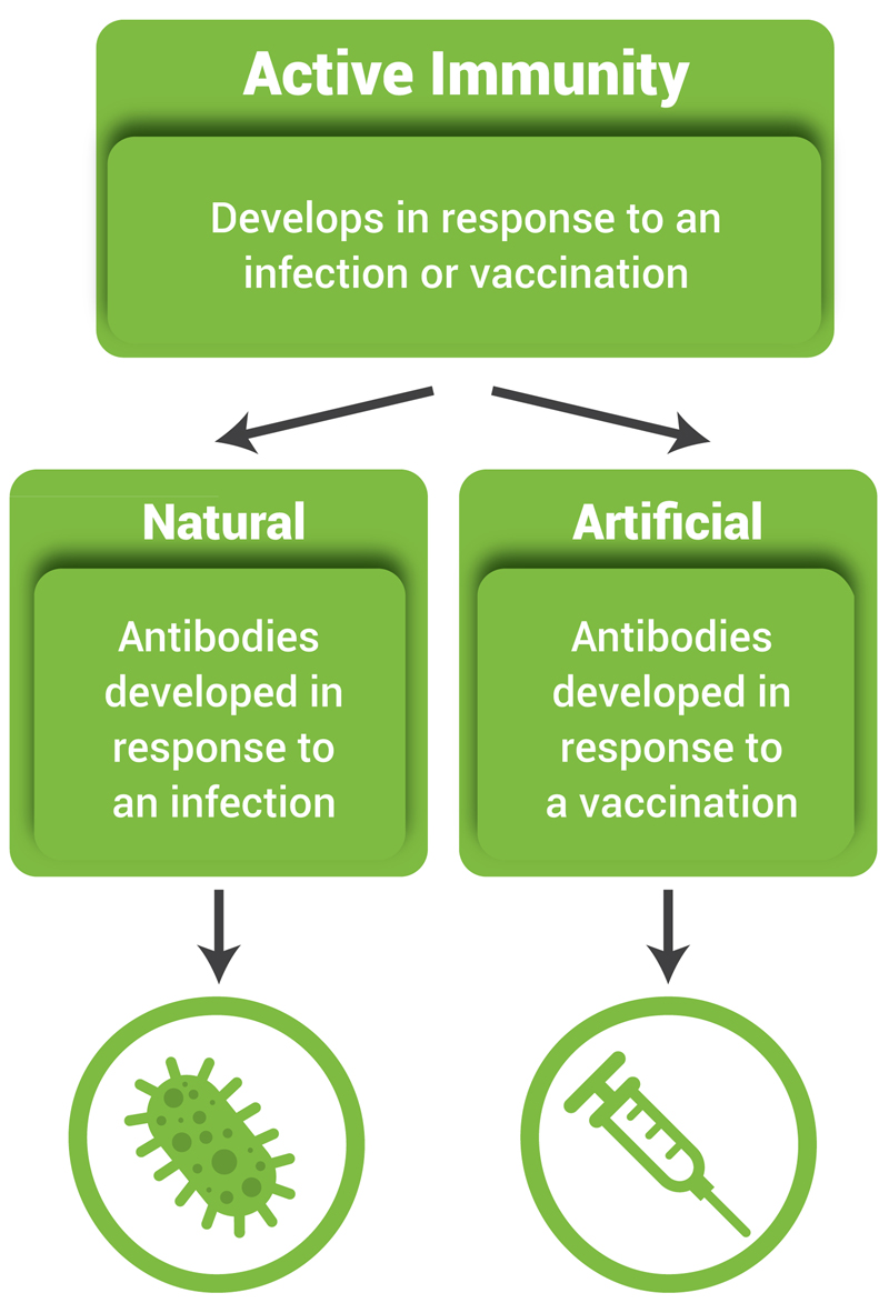 Active Immunity | NIH