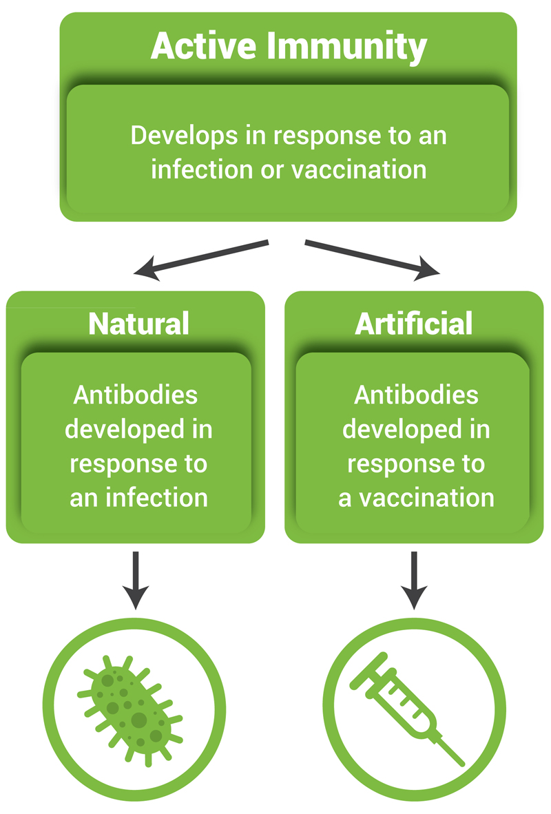 Active Immunity NIH