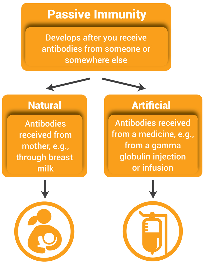 Passive Immunity NIH