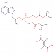 tenofovir disoproxil fumarate