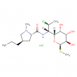 clindamycin hydrochloride