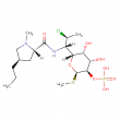 clindamycin phosphate