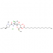 clindamycin palmitate hydrochloride