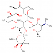 clarithromycin