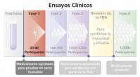 El segundo paso de un ensayo clínico.