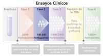 El tercer paso de un ensayo clínico.