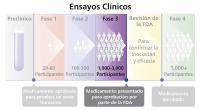 El cuarto paso de un ensayo clínico.