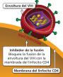 El inhibidor de fusión es una clase de fármaco contra el VIH que impide que la envoltura del VIH se fusione con la membrana de las células CD4 del huésped (fusión).