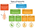 Immunity | NIH