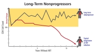  Los no progresores a largo plazo mantienen de forma natural los recuentos de CD4 normales.