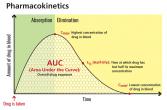 Diagram of drug absorption and elimination in the body.