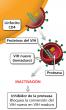 Los inhibidores de la proteasa previenen la maduración del VIH.