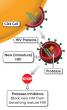 Protease inhibitors block HIV maturation.