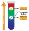 Space between the concentrations at which a drug becomes effective and toxic.