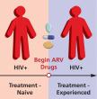 The transition from treatment-naïve to treatment-experienced