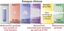 Las fases de un ensayo clínico.