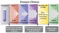 Las fases de un ensayo clínico.