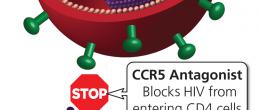 CCR5 antagonists prevent attachment.