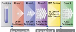 The phases of a clinical trial