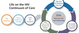 Steps involved in successful HIV treatment