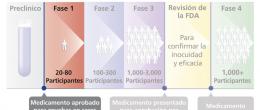 El segundo paso de un ensayo clínico.