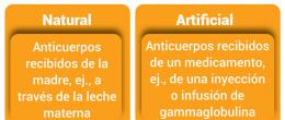 Inmunidad pasiva