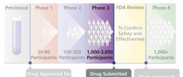 The fourth step of a clinical trial