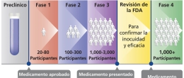 Las fases de un ensayo clínico.