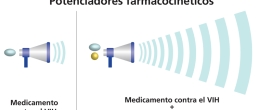 Los potenciadores farmacocinéticos se usan para aumentar la eficacia de otro medicamento.