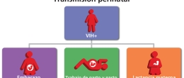 La transmisión del VIH de una madre a su bebé.