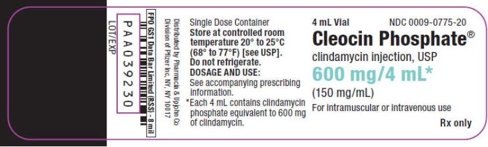 Cleocin phosphate 600 mg