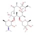 Erythromycin chemical structure.