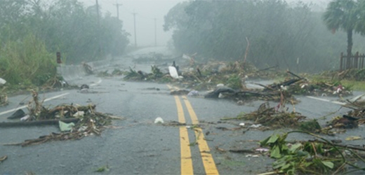 Disaster Guidelines