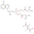 tenofovir disoproxil fumarate chemical image.
