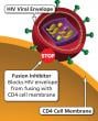 Fusion Inhibitor is an HIV drug class which blocks the HIV envelope from merging with the host CD4 cell membrane (fusion).