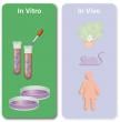 In vitro experiments occur in an artificial environment.