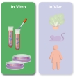 Los experimentos in vitro se producen en un entorno artificial. 