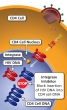 Integrase Strand Transfer Inhibitor (INSTI) is an HIV drug class which block integrase (an HIV enzyme).
