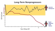 Long-term non-progressors naturally maintain normal CD4 counts.