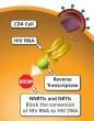 NNRTIs and NRTIs  block reverse transcription.