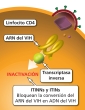 Los ITINN y los ITIN bloquean la transcriptasa inversa.