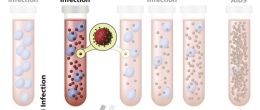 Graph of acute HIV infection that extends approximately 2 to 4 weeks until the body produces enough HIV antibodies to be detected by a test.
