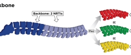 The basis of an HIV treatment plan
