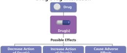 Drugs can interact with other drugs.
