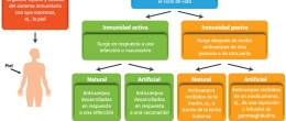 Inmunidad