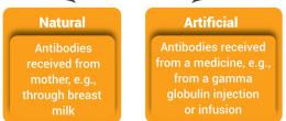 Passive Immunity