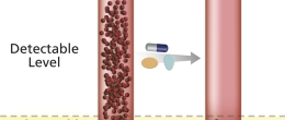HIV medicines reduce viral loads to undetectable levels.